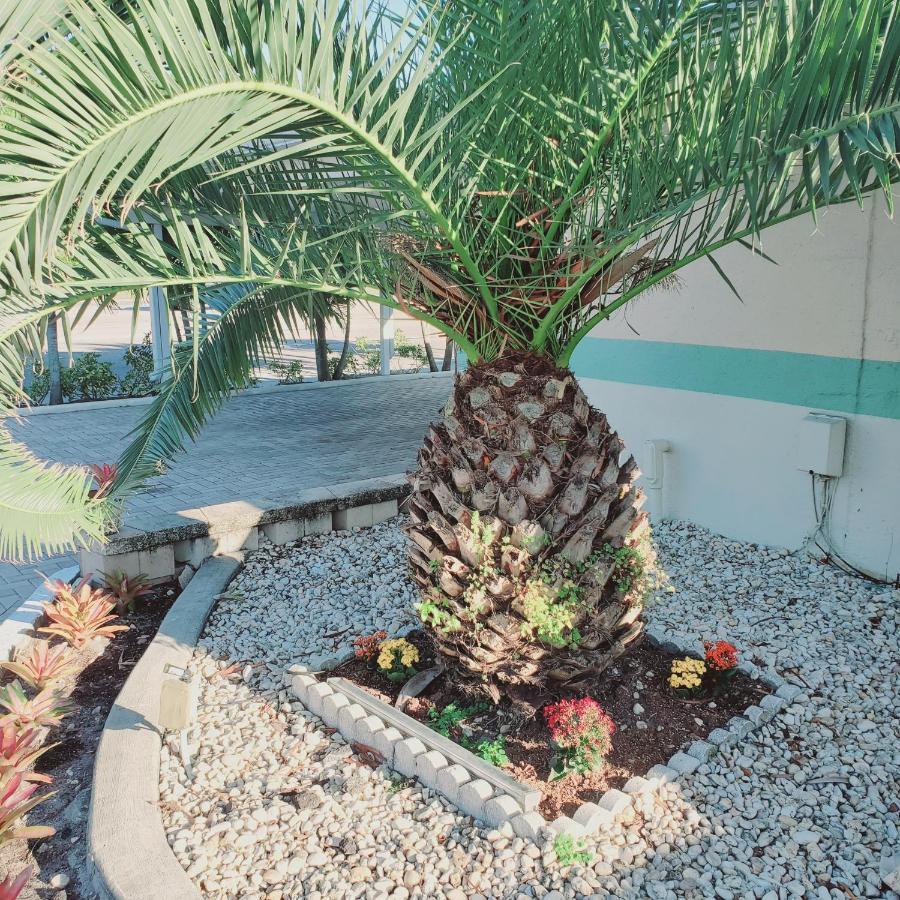 Tropical Palm Motel North Fort Myers Extérieur photo